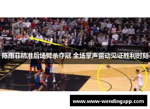 陈雨菲精准后场劈杀夺冠 全场掌声雷动见证胜利时刻 陈雨菲精准后场劈杀夺冠 全场掌声雷动见证胜利时刻