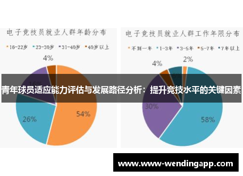 青年球员适应能力评估与发展路径分析：提升竞技水平的关键因素