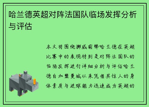 哈兰德英超对阵法国队临场发挥分析与评估