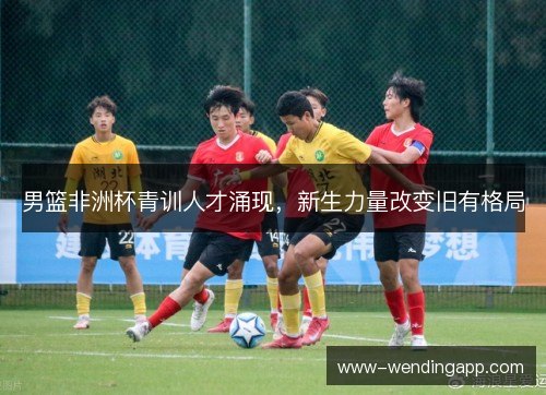 男篮非洲杯青训人才涌现，新生力量改变旧有格局